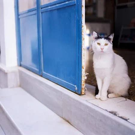 Kaylee: Serene Corfu Near Kanoni (Corfu)